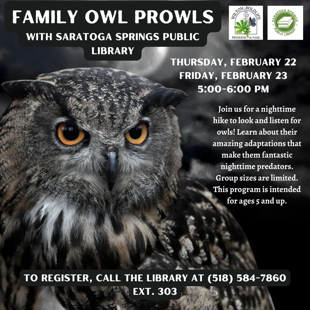 Family Owl Prowl with the Saratoga Springs Public Library — Wilton